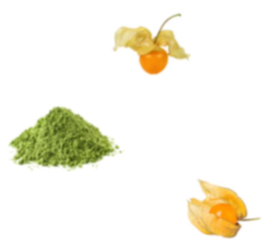 Matcha Physalis Pulver